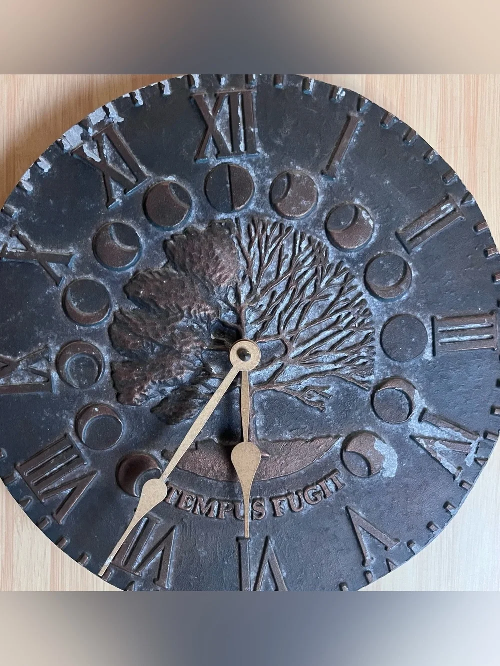 Temps Fugit Tree of Life Vintage Style Brown Metal Wall Clock Roman numbers